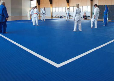 Tatami Vinyl 25mm Roll Up MMA Judo Tatami Mat